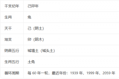 1999 年属兔是什么命 己卯年城