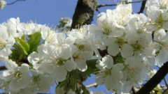 闰二月不能办哪些事情？闰二