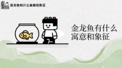 锦鲤和金龙鱼哪个风水最好｜