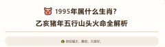 1995年属什么生肖？乙亥猪年五