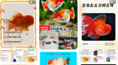 金魚八紅一黑風水寓意：水火既濟招財化煞