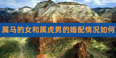 属马男与属虎女性格不合,为何