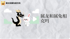 88龙男和87兔女谁旺谁？详解纳音五行与地