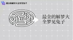 梦见兔子是什么预兆？白兔黑