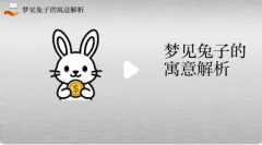 梦见兔子是什么预兆是什么意思？周公解