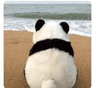 2025年管姓男宝取名｜八字喜用