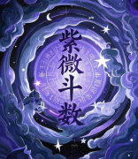 哪些命格眼光神准,跻身豪门不是梦?紫微斗数