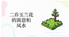 玉兰花是聚财还是破财? 港台风水师傅道出真相