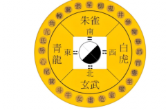 左青龙是进门还是出门_青龙白