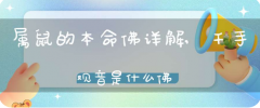 属鼠的戴观音菩萨还是千手观音_属鼠本命佛佩戴