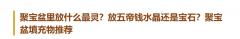 聚宝盆里放什么最灵?放五帝钱水晶还是宝石?